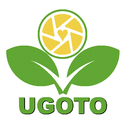 優果多UGOTO 檸檬蜜餞 果乾 無添加 清潔液 花茶 零食